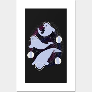 Seal Summer Space Swimming Vortex Posters and Art